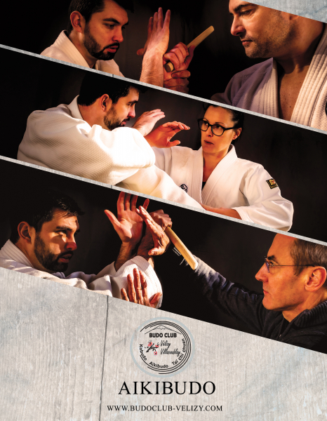 aikibudo_couleurs