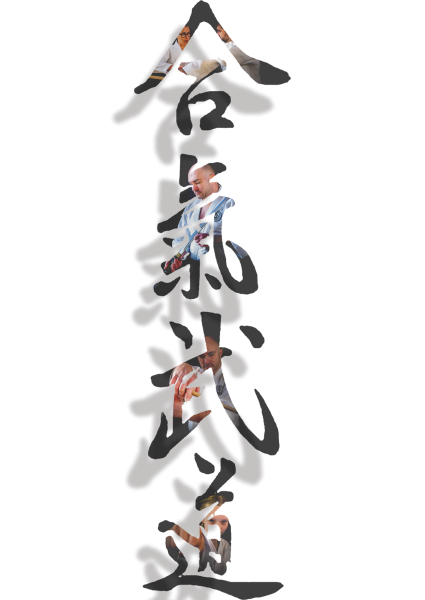 Aikibudo_incrustation_png