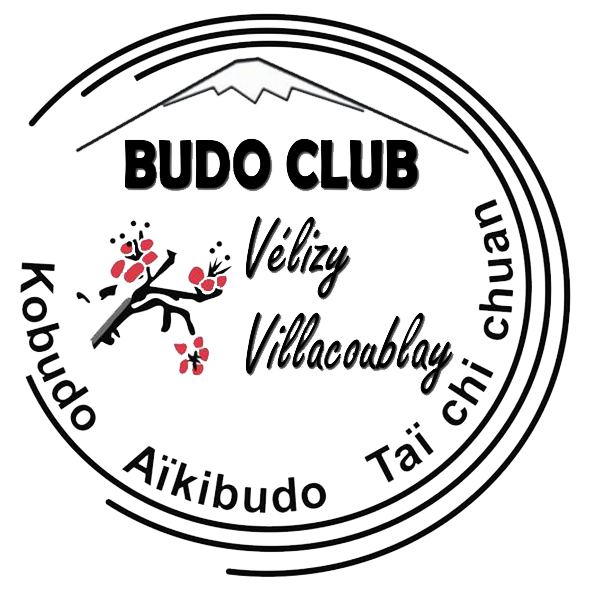 logo BCVV 300dpi png
